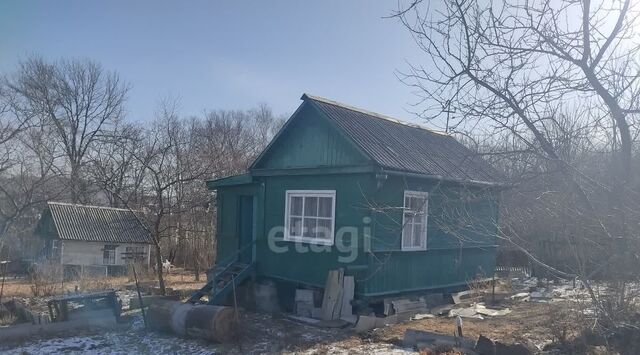 снт Вишенка фото