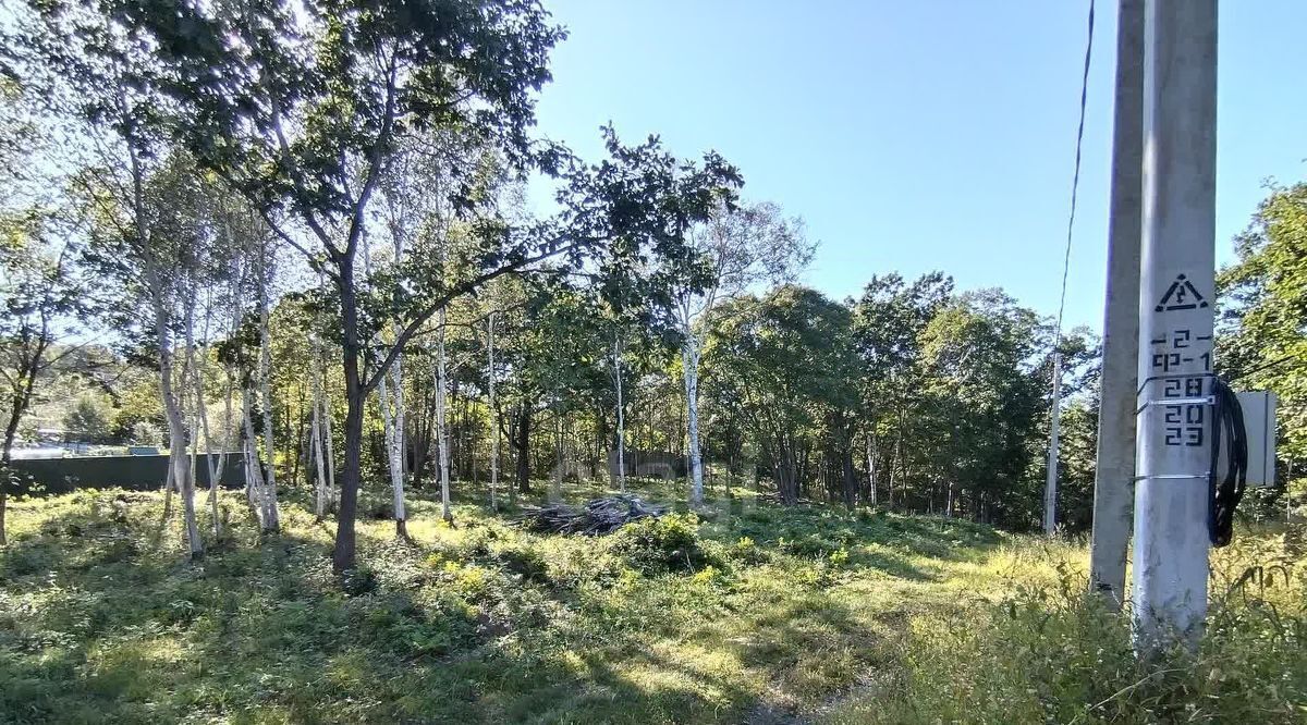 земля р-н Надеждинский Кварц СТ, ул. Алмазная, 4 фото 5