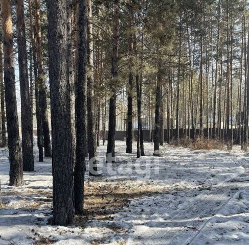 земля р-н Читинский с Смоленка фото