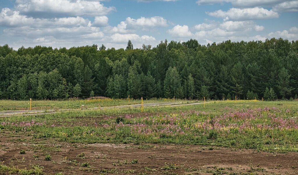 земля р-н Новоусманский с Новая Усмань Коммунарская улица, 1 фото 2