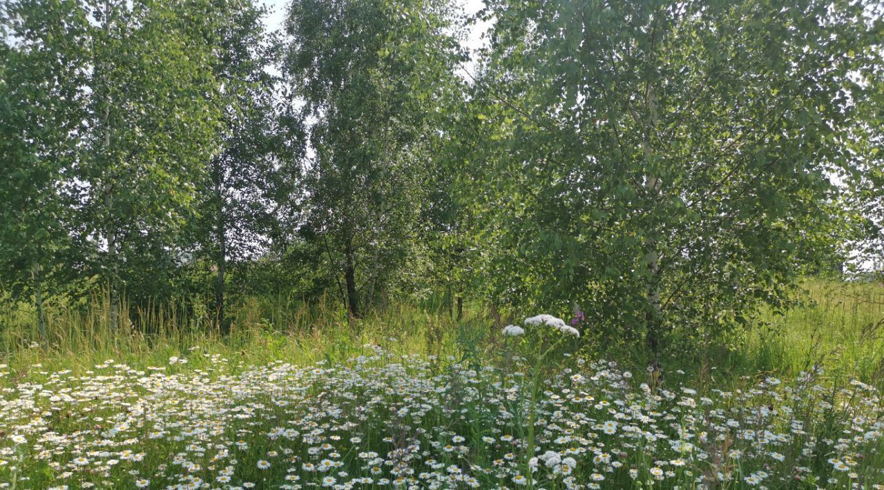 земля р-н Заокский д Азаровка Малаховское с/пос, Петрович на Даче мкр фото 7