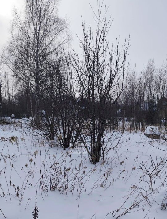 земля г Уфа р-н Калининский снт Авангард 155 фото 5