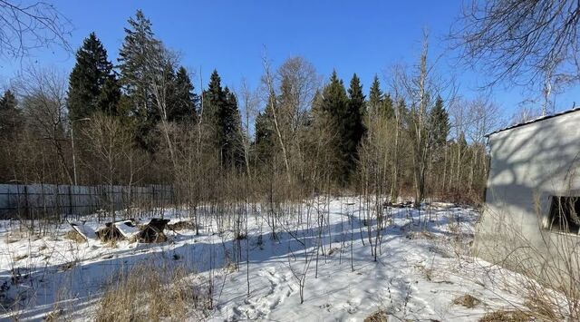 п Филимонковское д Бурцево Внуково 170 фото