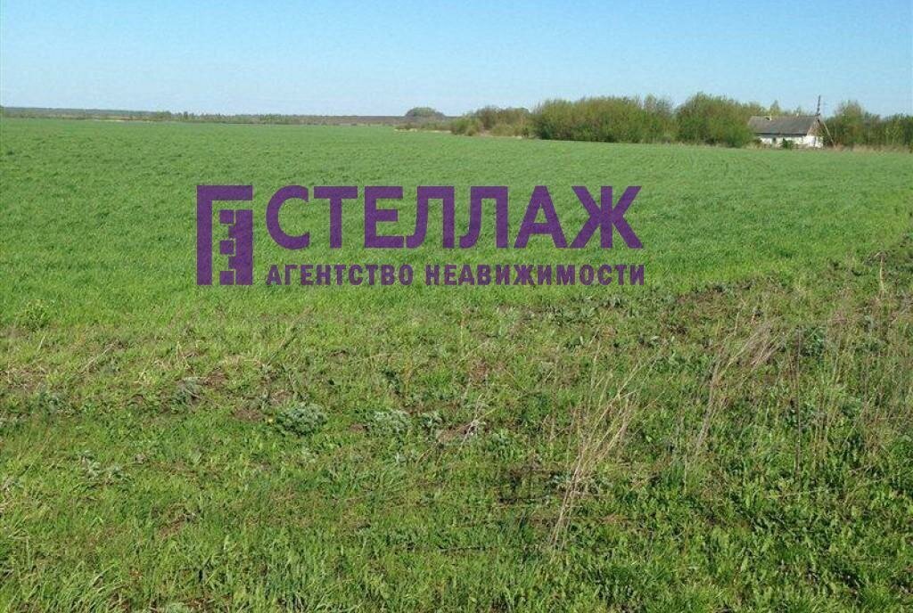 земля г Феодосия садовые участки Очистные, Жасминовая улица, 102 фото 1