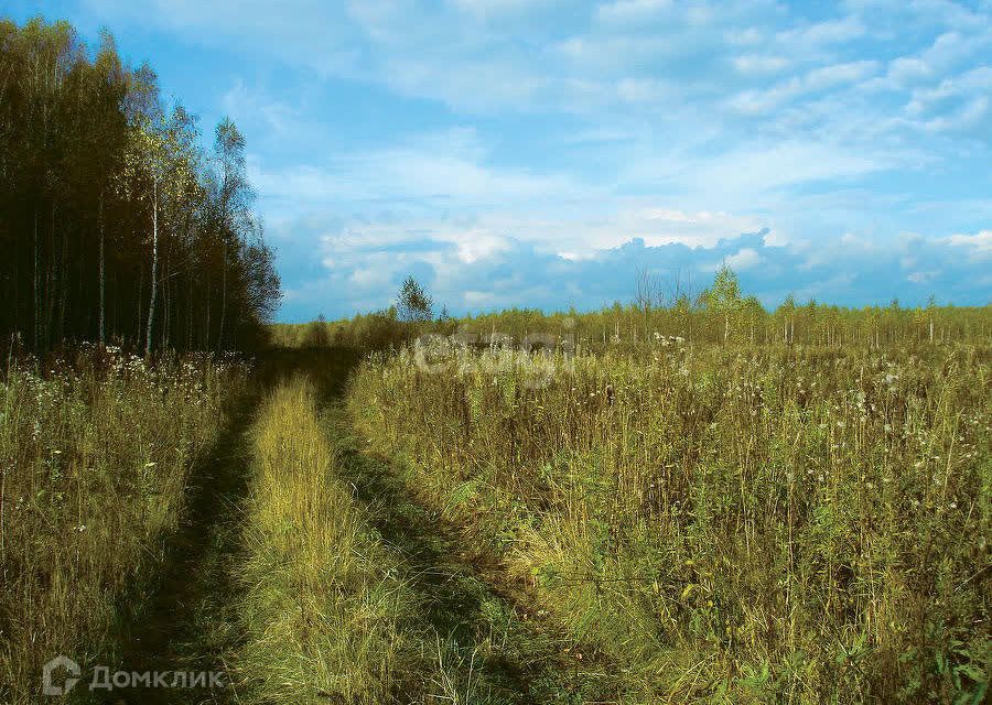 земля р-н Хабаровский с. Сосновка фото 9