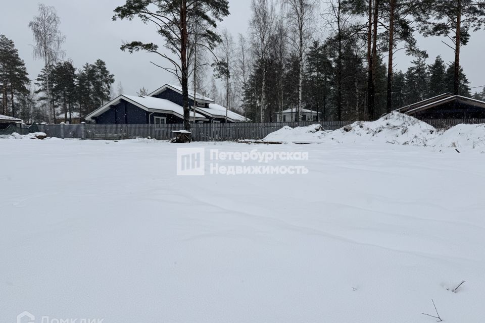 земля р-н Всеволожский СНТ Светлана-1 фото 4