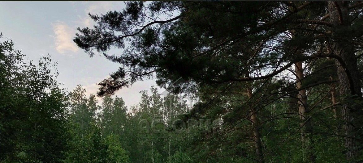 квартира г Красноярск р-н Октябрьский ул Академгородок 7 фото 23