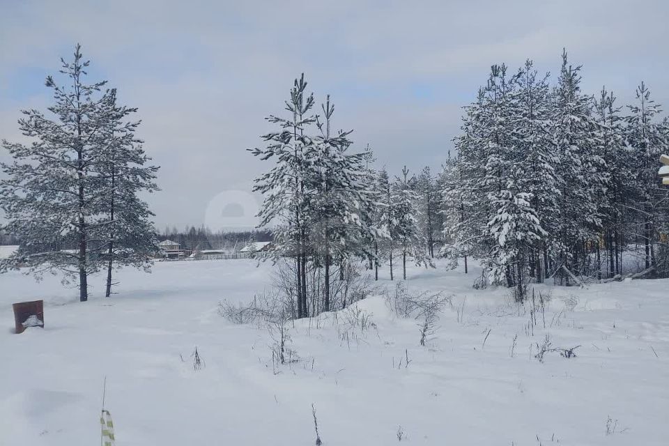 земля р-н Всеволожский СОСН Раздолье фото 6