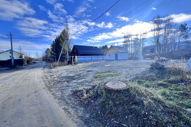 земля Нягань городской округ, Финский фото