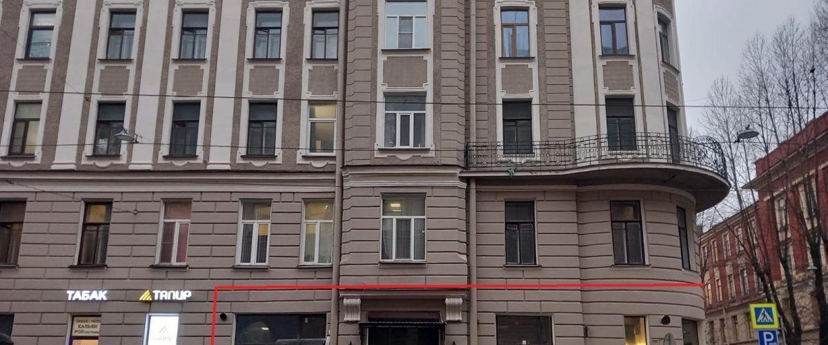 свободного назначения г Санкт-Петербург метро Горьковская ул Чапаева 4 фото 2