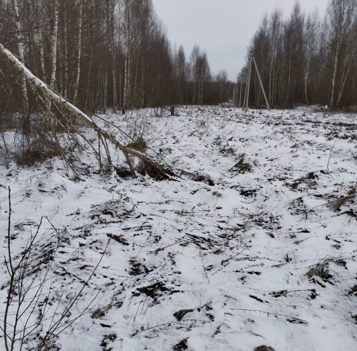 земля городской округ Лотошино д Кушелово фото 1