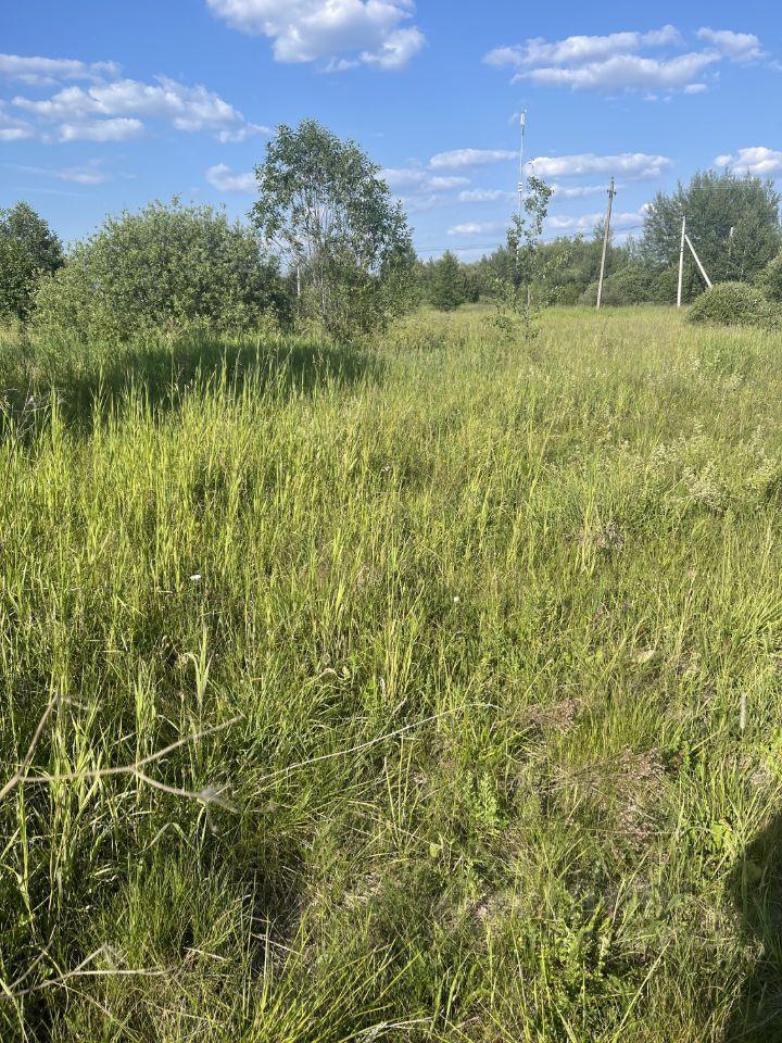 земля городской округ Орехово-Зуевский с Смолёво ул Солнечная 43 Куровское фото 15