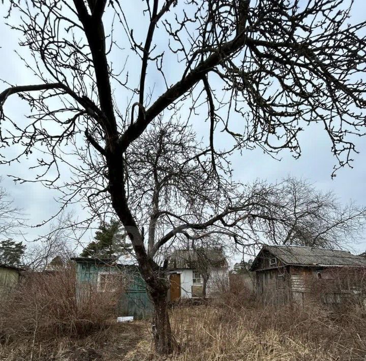 дом г Брянск р-н Фокинский Больничный Городок СНТ фото 7