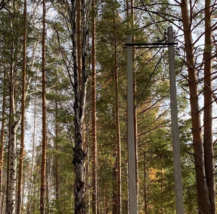 земля г Верхняя Пышма п Кедровое ул Уральская фото 2