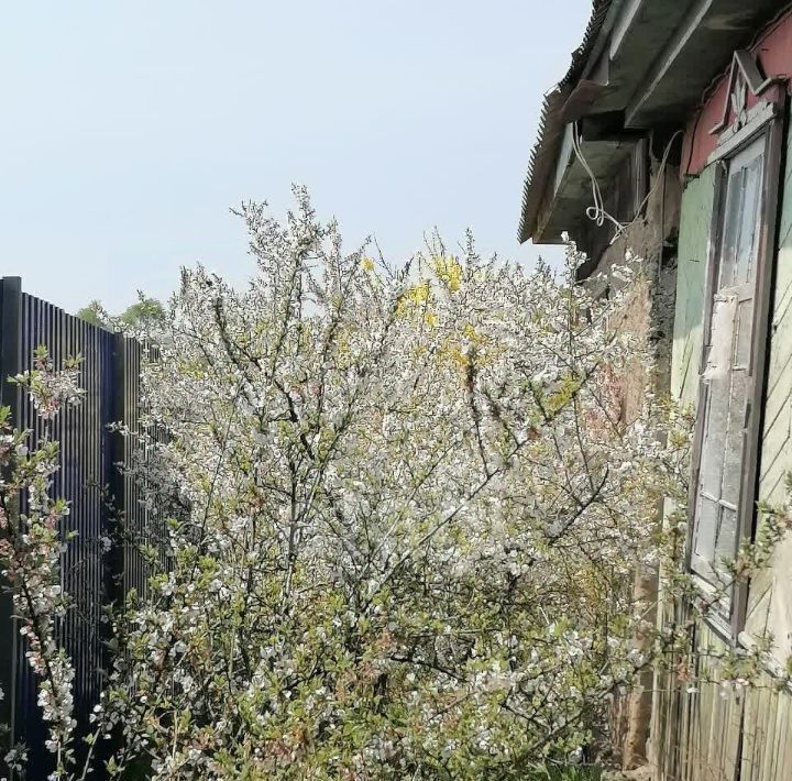дом г Фокино ул Руднева 8 фото 8