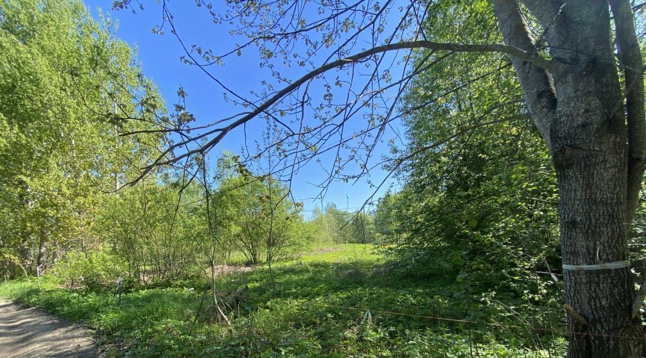 земля р-н Выборгский п Лебяжье пер Зелёный Рощинское городское поселение, Беговая фото 2