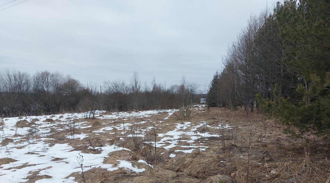 офис городской округ Наро-Фоминский д Назарьево фото 2