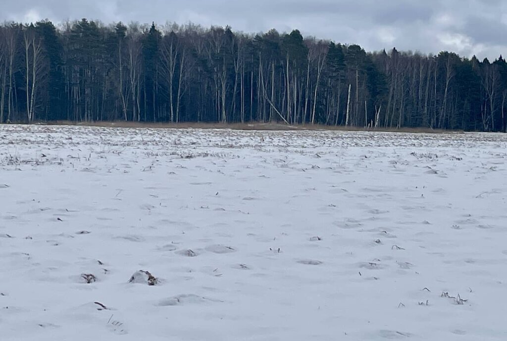 земля городской округ Дмитровский фото 7