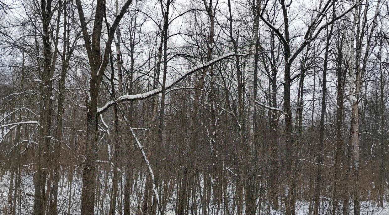 офис городской округ Чехов д Ваулово фото 1