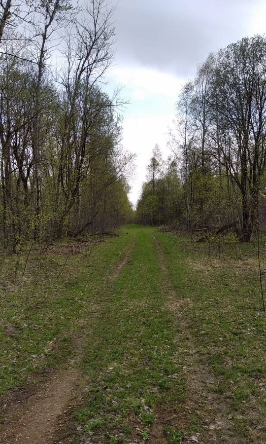 земля р-н Бабынинский п Садовый сельское поселение Муромцево, Воротынск фото 6