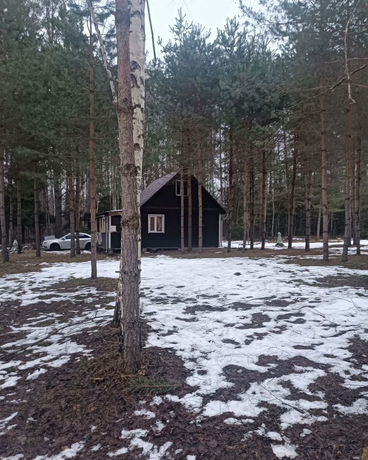 дом р-н Гдовский д Желча Середка, Полновская волость фото 2