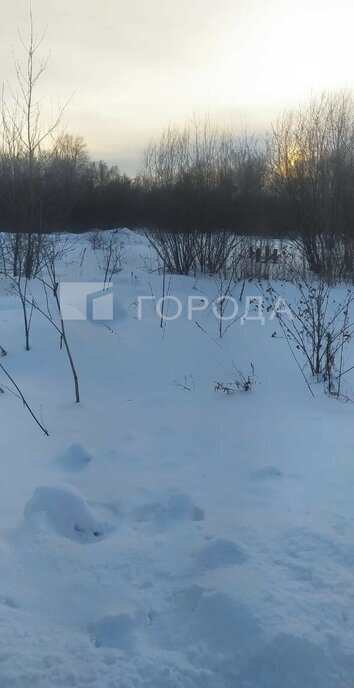 земля р-н Тогучинский с Буготак фото 3