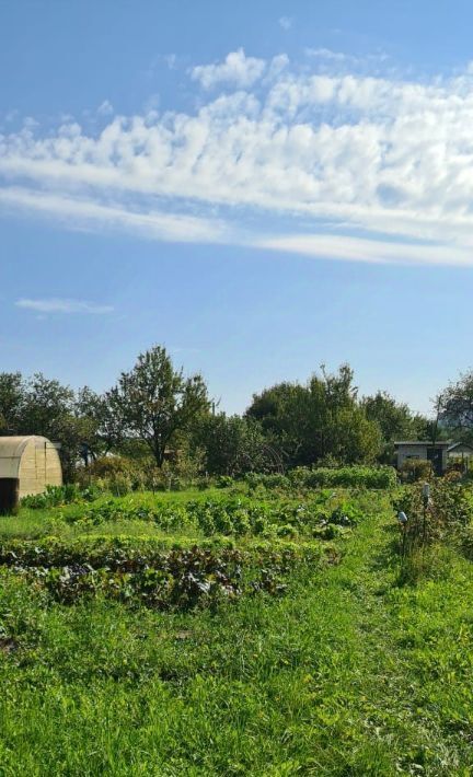 земля р-н Кстовский г Кстово Нижегородец СНТ фото 3