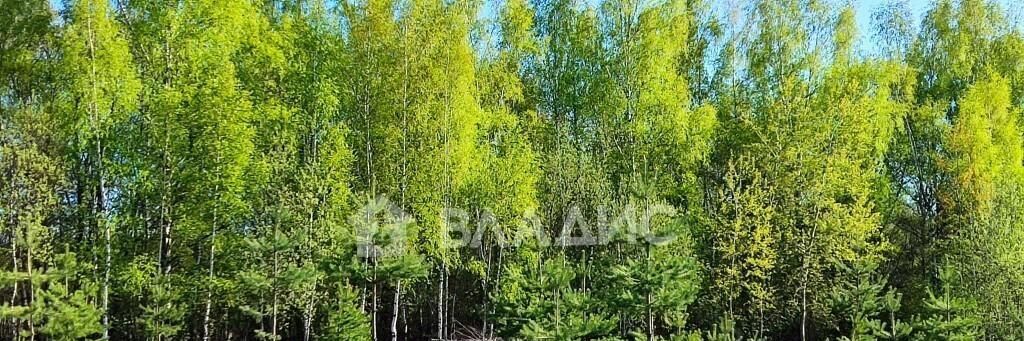 земля г Владимир д Немцово ул Крестьянская р-н Ленинский фото 8