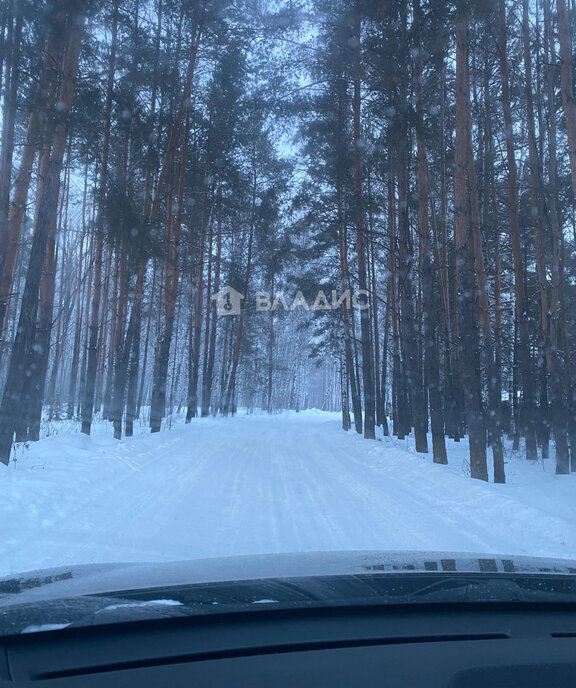 земля р-н Лаишевский снт Березка Орловское сельское поселение, 28 фото 4