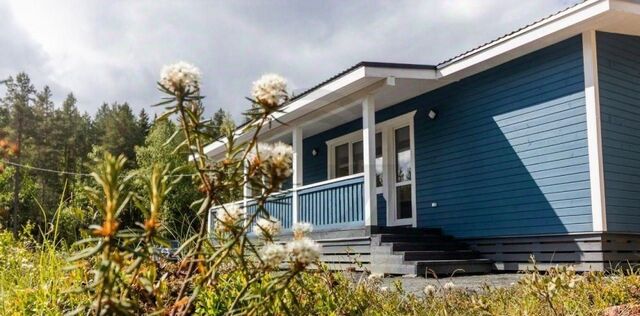Проспект Ветеранов, ул. Хорошая, Аннинское городское поселение фото