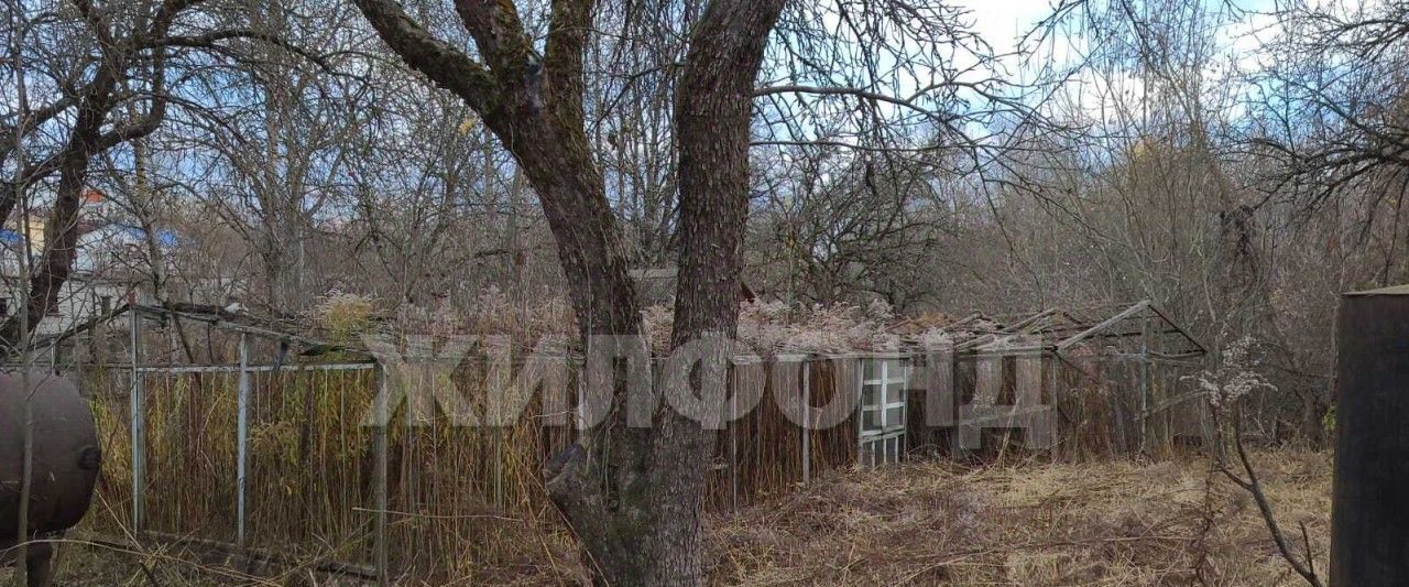 земля г Брянск р-н Советский садоводческое объединение, Имени Мичурина фото 12