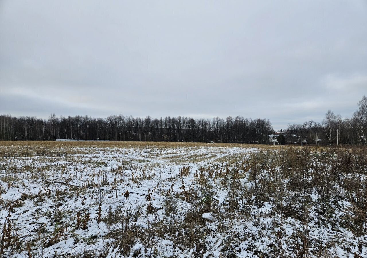 земля городской округ Домодедово 16 км, д. Красино, Новокаширское шоссе фото 4