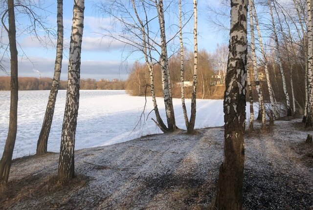 д Манушкино Подольск, 47/3 фото