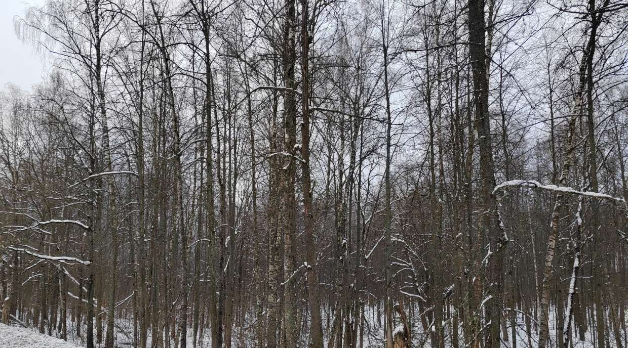 офис городской округ Чехов д Ваулово фото 1