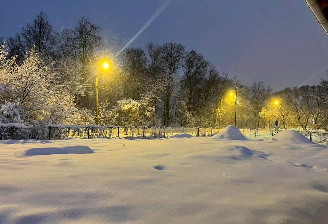 дом г Петергоф Старый Петергоф р-н Петродворцовый фото 15