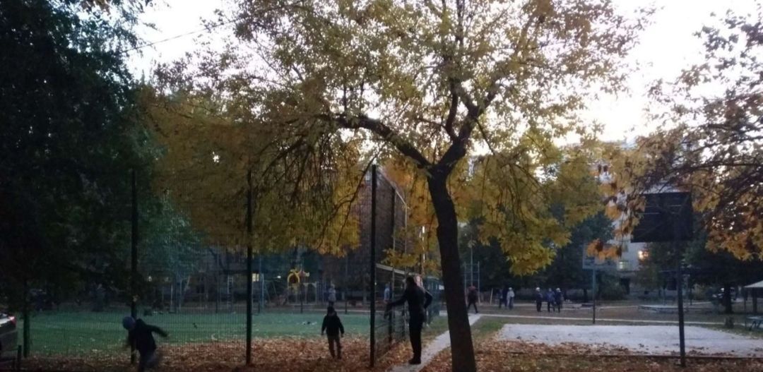 комната г Самара Безымянка ул Свободы 175 фото 5