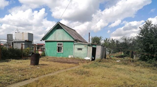 Остров-Сад садовое общество фото