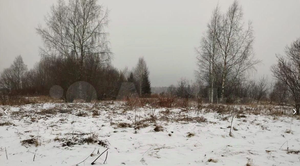 земля р-н Кирилловский д Дулово фото 2