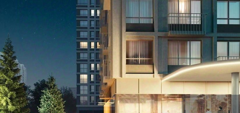квартира г Воронеж р-н Центральный ул Ломоносова 116а фото 7