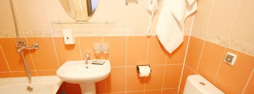 комната г Екатеринбург Ботаническая пер Мордвинский 1 фото 2