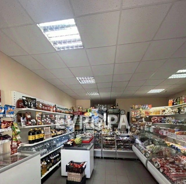 торговое помещение г Ульяновск р-н Засвияжский ул Камышинская 83г фото 1