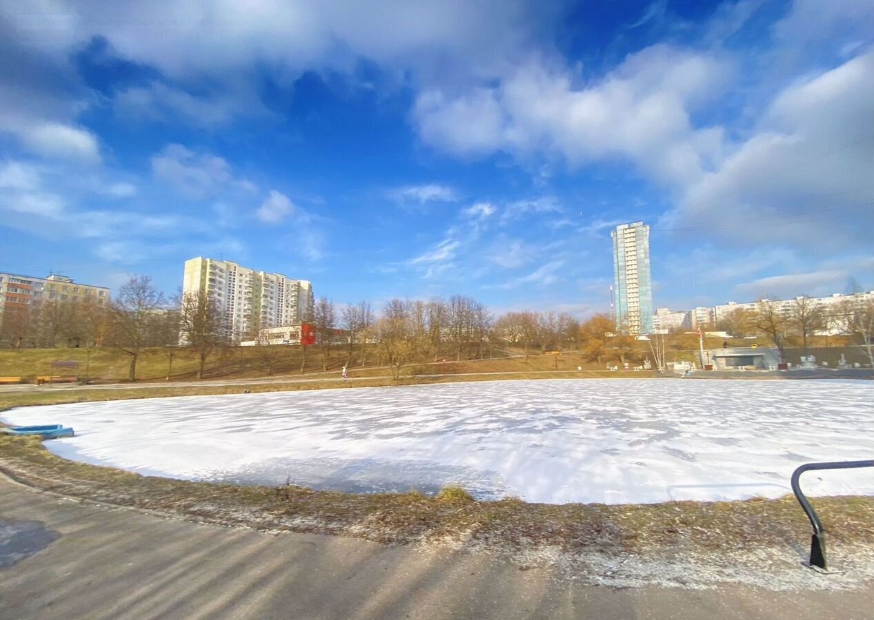 квартира г Москва метро Ясенево б-р Литовский 34 фото 27