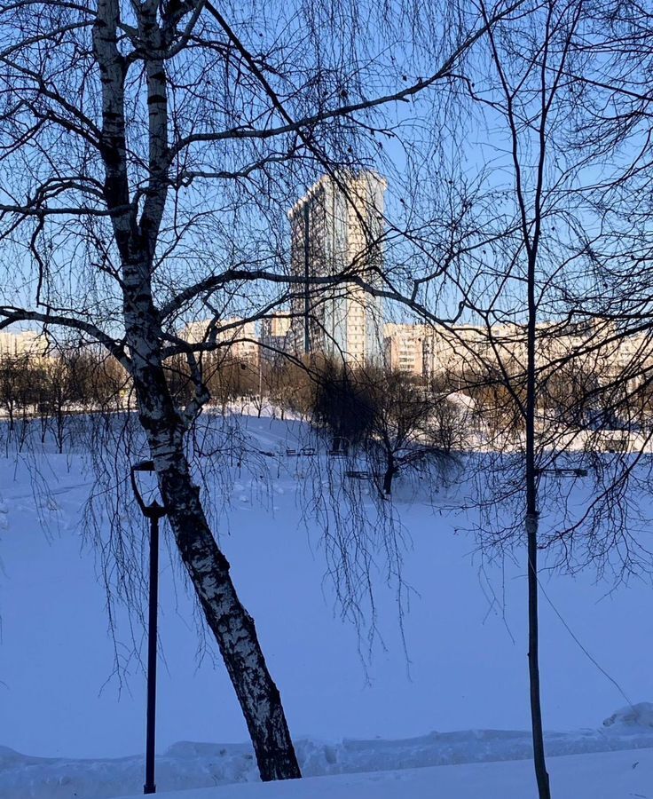 квартира г Москва метро Ясенево б-р Литовский 34 фото 26