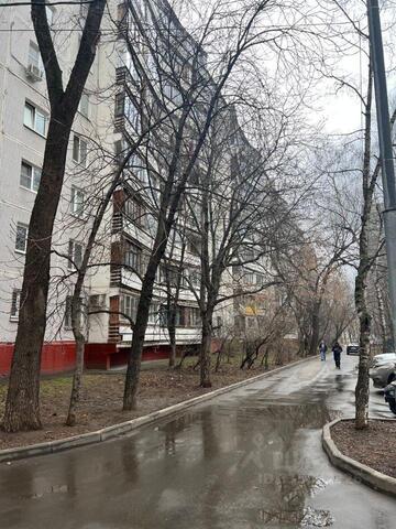 Московская область фото