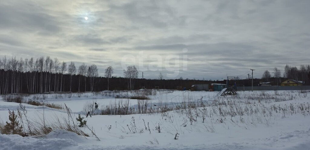 земля г Тюмень снт Сосновая поляна ул 7-я фото 10