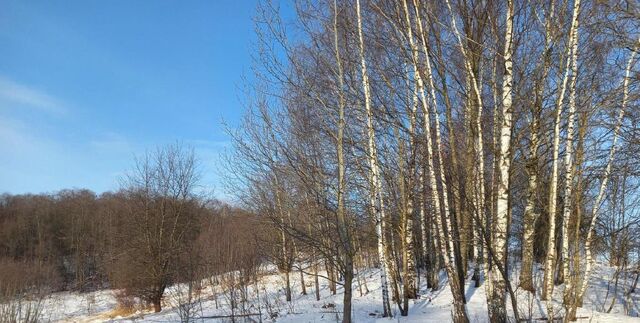 городской округ Дмитровский д Елизаветино фото