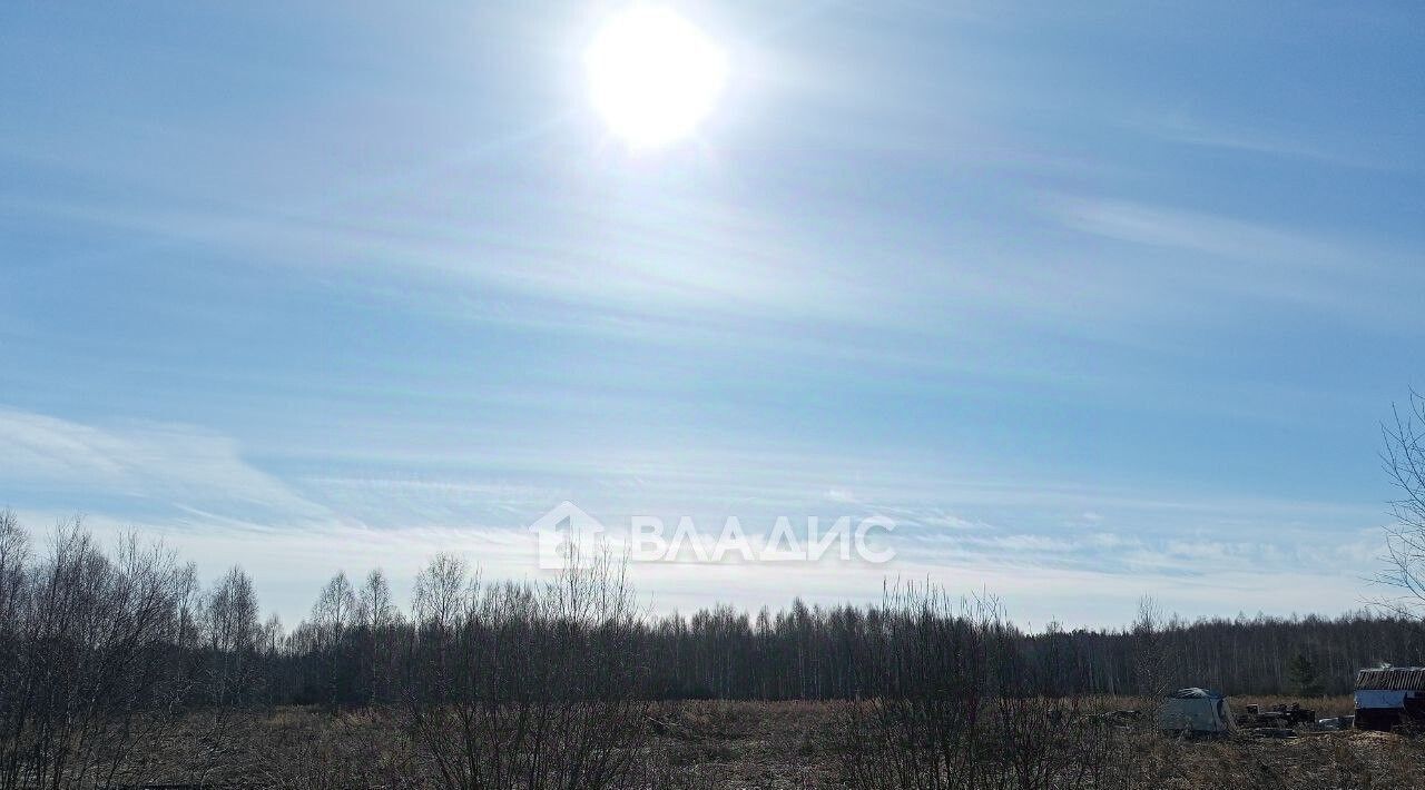 офис г Бор с. Развилье фото 1