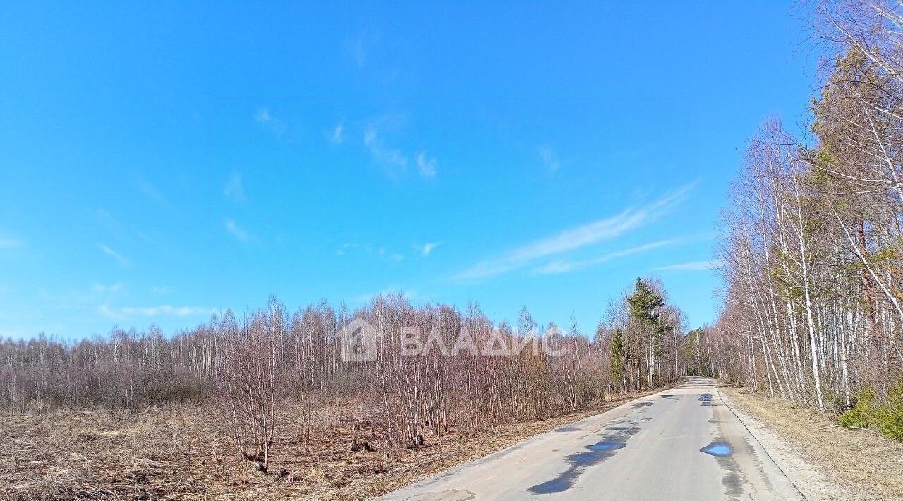 офис г Бор с. Развилье фото 3