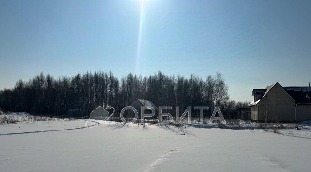 земля г Тюмень р-н Ленинский снт Яровское ул. Сливовая, 19 фото 4