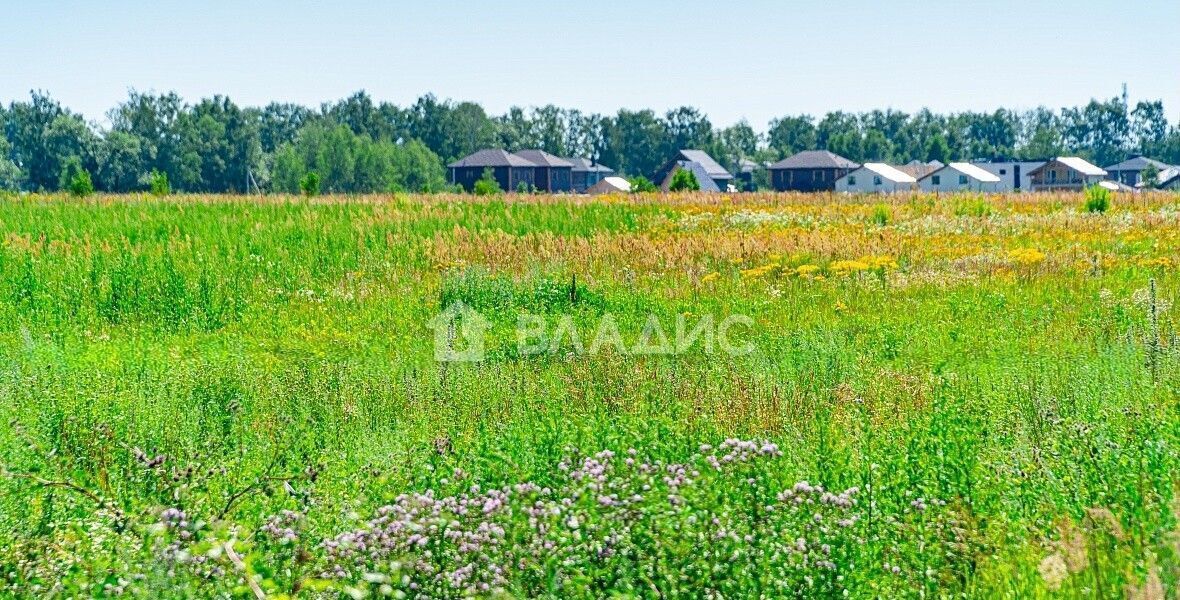 земля городской округ Богородский г Старая Купавна ул Горького 23 км, Горьковское шоссе фото 1